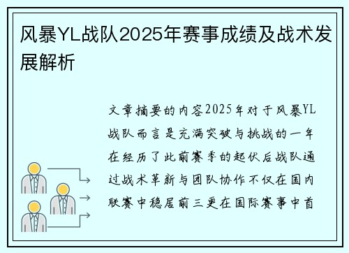 风暴YL战队2025年赛事成绩及战术发展解析