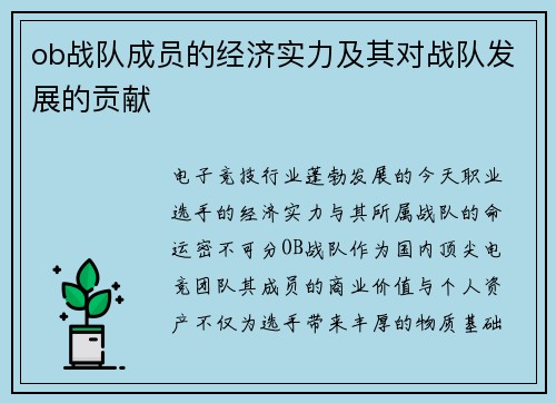 ob战队成员的经济实力及其对战队发展的贡献